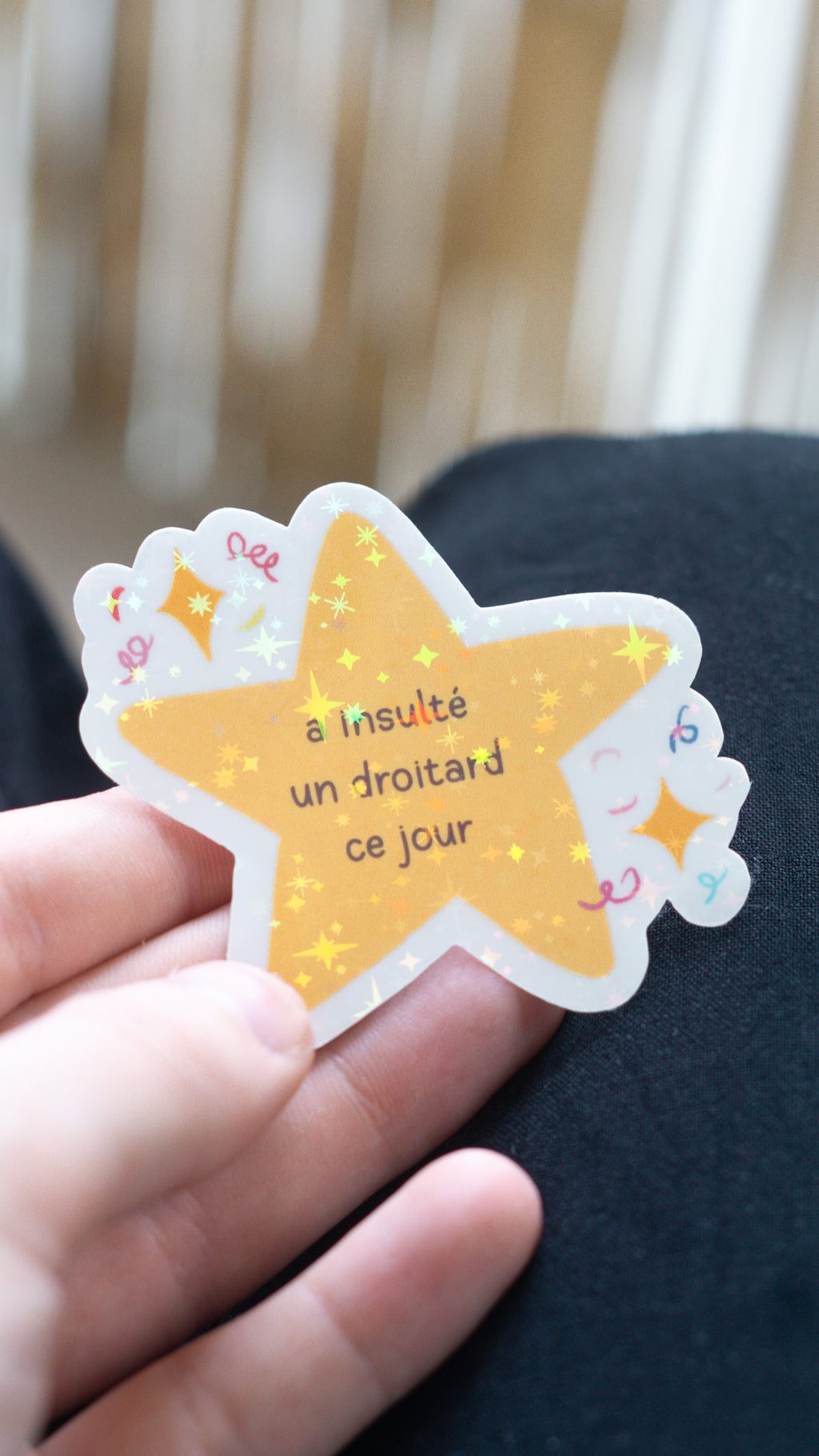 Sticker "A insulté un droitard"