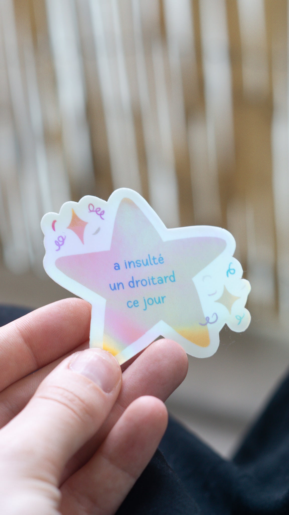 Sticker "A insulté un droitard"